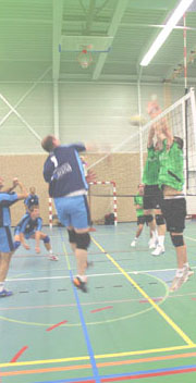 Volleyball in Rotterdam